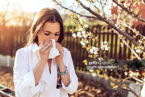Spring Allergies and Gut Health: Your Digestive System’s Role